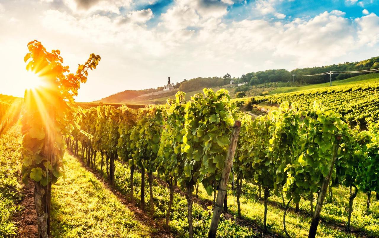 Fewo Zum Malerwinkel - Ruedesheim Rudesheim am Rhein Bagian luar foto