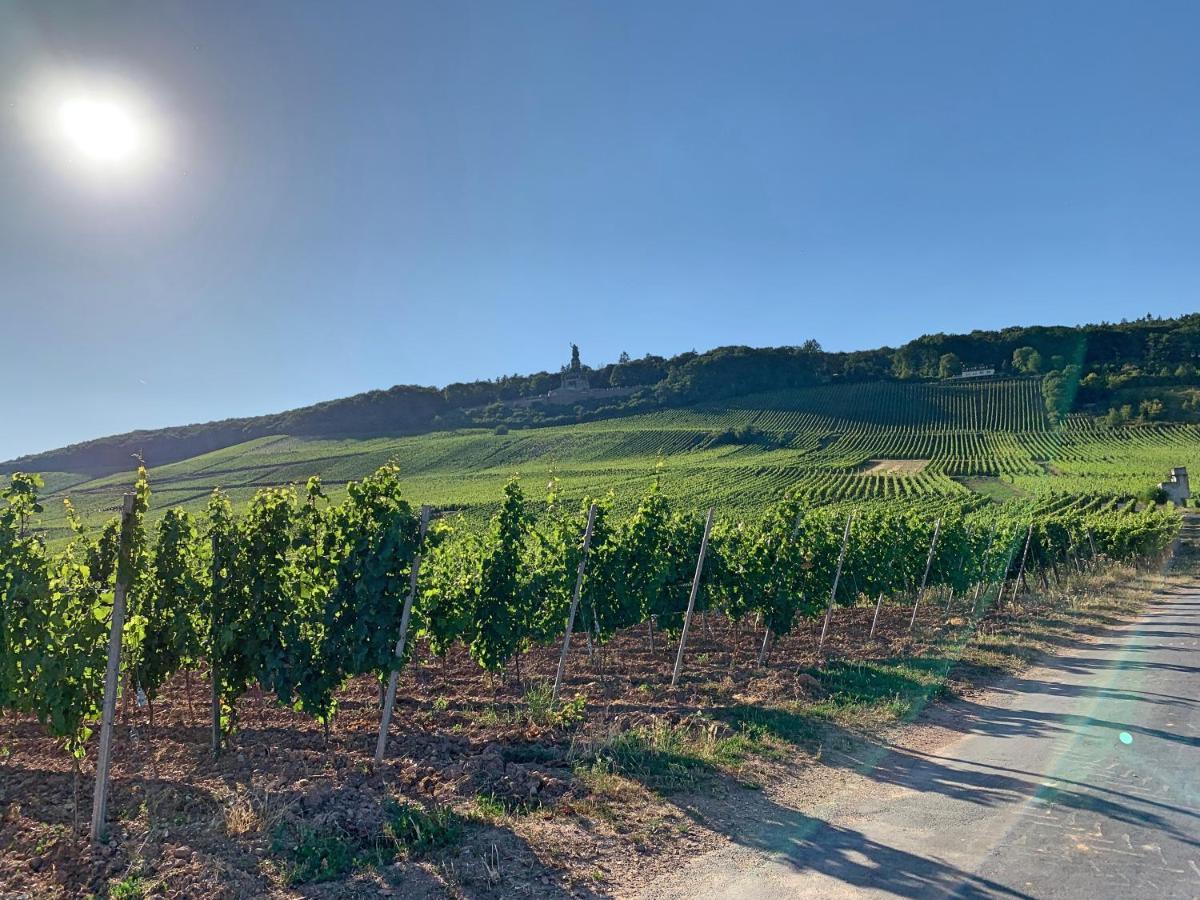 Fewo Zum Malerwinkel - Ruedesheim Rudesheim am Rhein Bagian luar foto